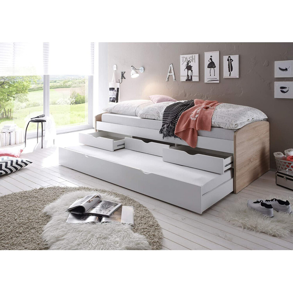 Pat dublu Nessi, material PAL