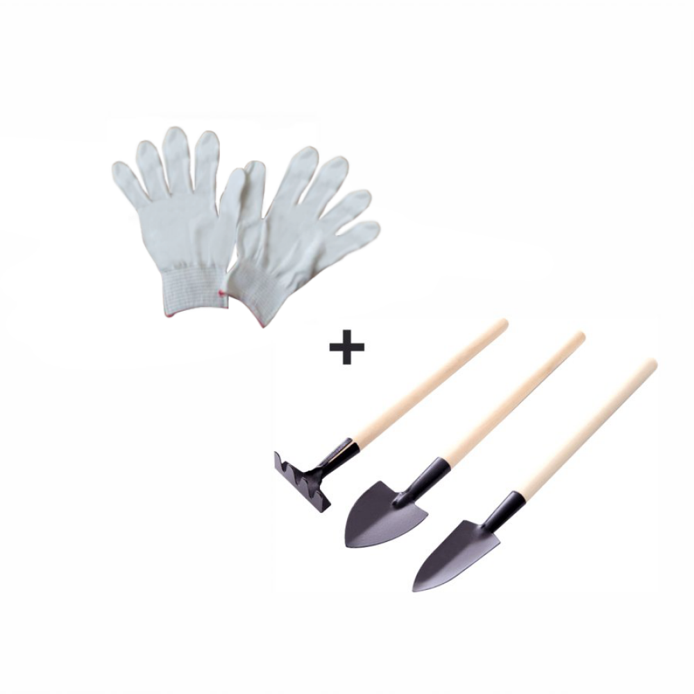 Raft, alb, NEPEL TYP 1 + cadou