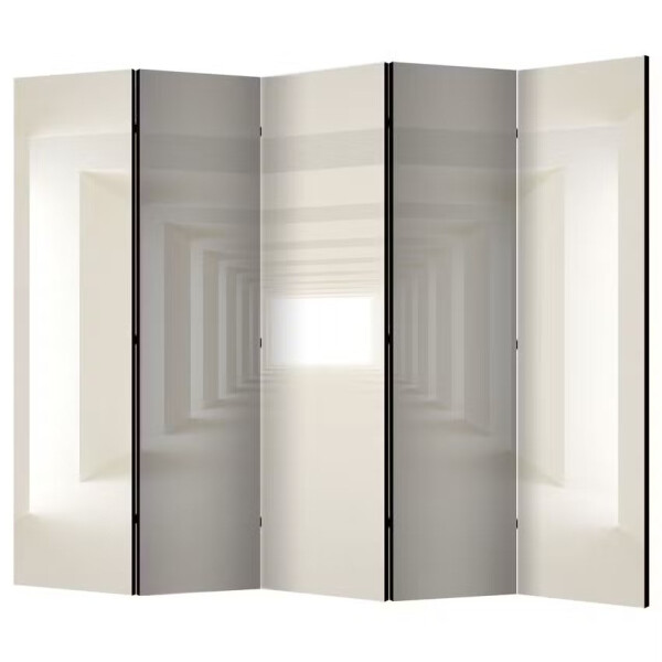 Paravan  Into the Light