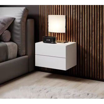 Noptiera Suspendata Loftscape