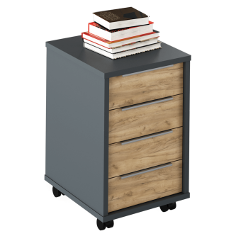Container, grafit/stejar artisan, RIOMA TYP 14