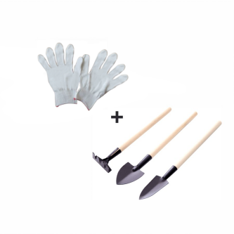 Raft, alb, NEPEL TYP 1 + cadou